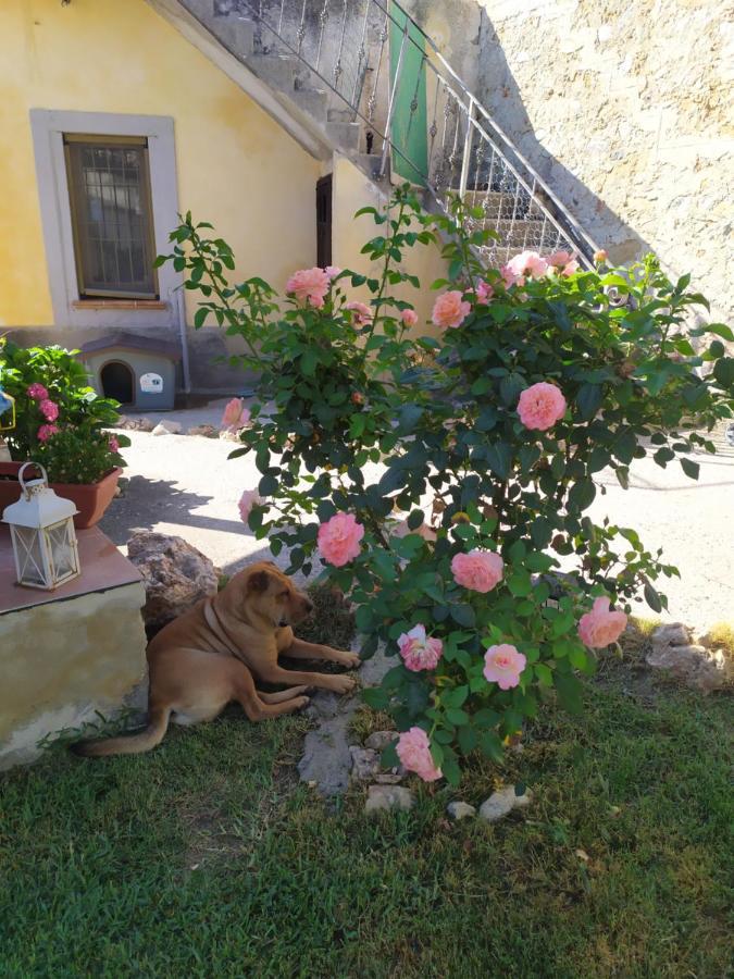 Il Giardino Dei Semplici B&B Caulonia Exterior foto